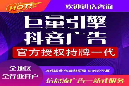 专业网站SEM托管服务案例展示